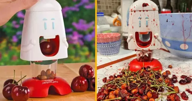 denoyauteur-denoyauteur