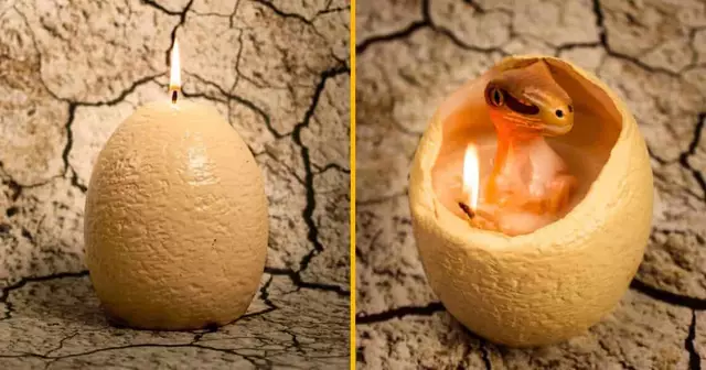 bougie-oeuf-dinosaure