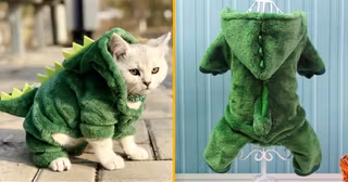 un-costume-de-dinosaure-pour-chien