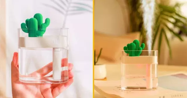 cactus-humidifier-air