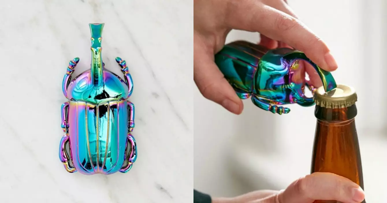 decapsuleur-coleoptere-3