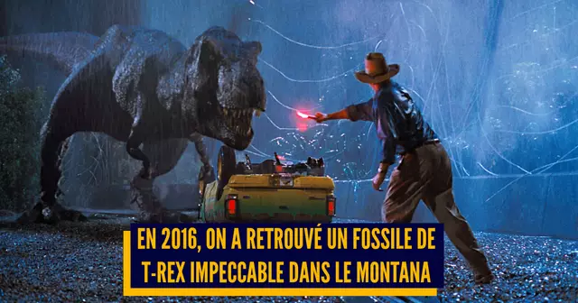 su266n2jbn78q3kbh0fu