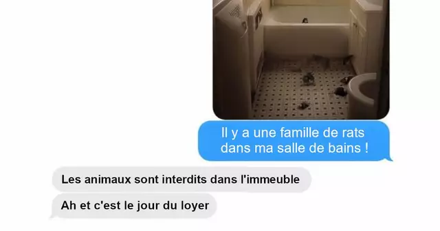 une-top-proprietaires