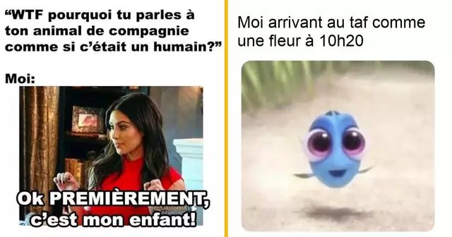 top memes semaine 16