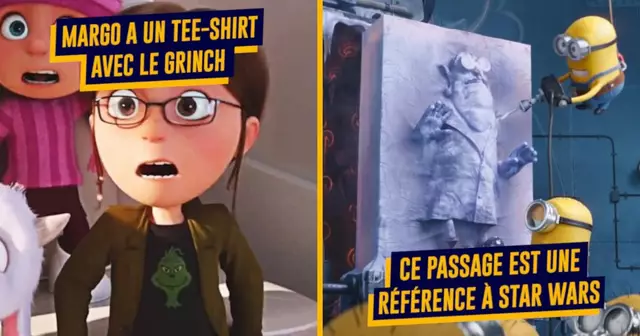 DetailsMoiMocheEtMechant