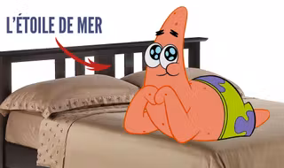 une_etoilequisefaitpeterlecul