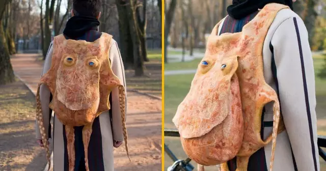 sac-dos-octopus-mollusque