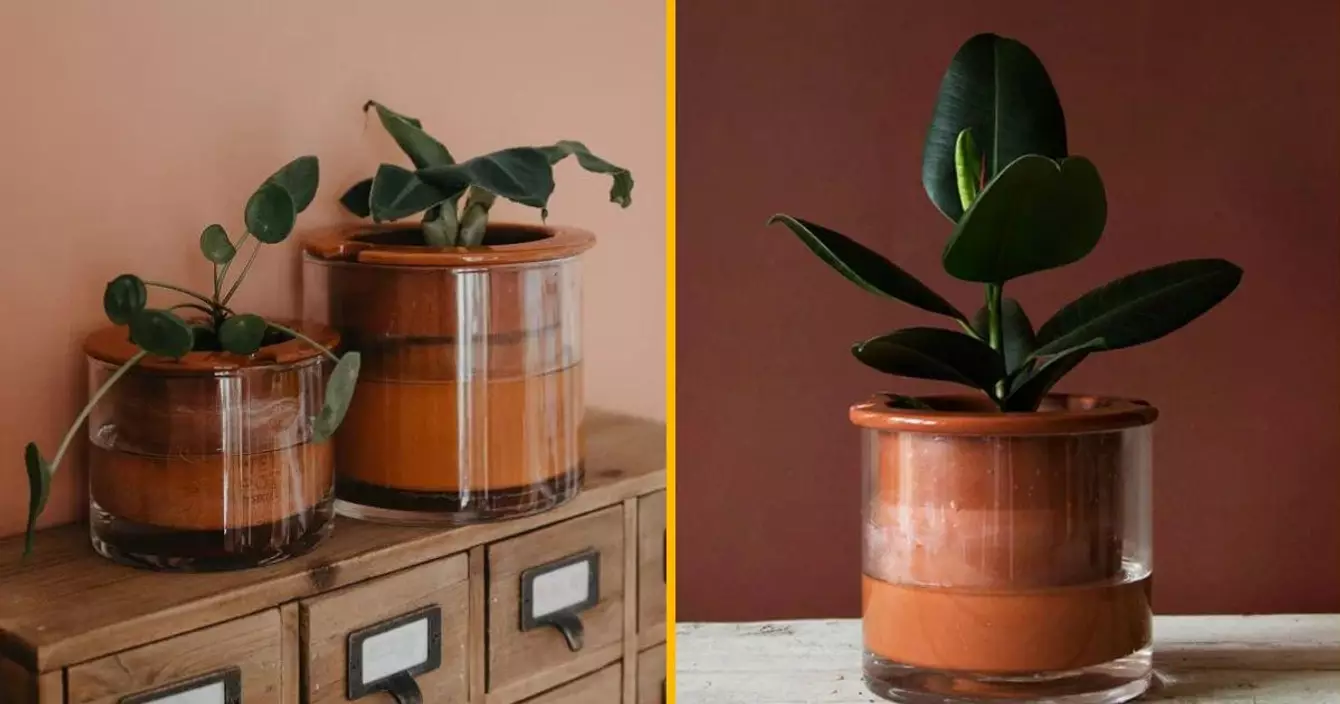 pot-plante-intelligent