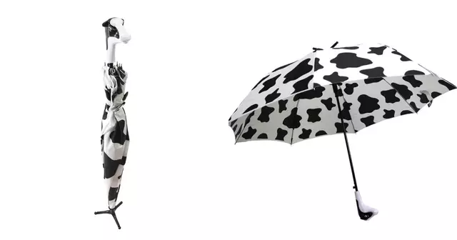 parapluie-vache