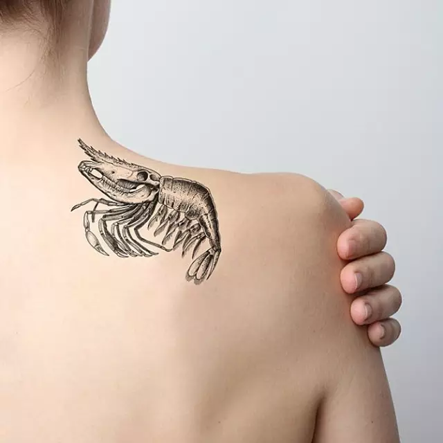 818748515428599215_49fbe8f617b4