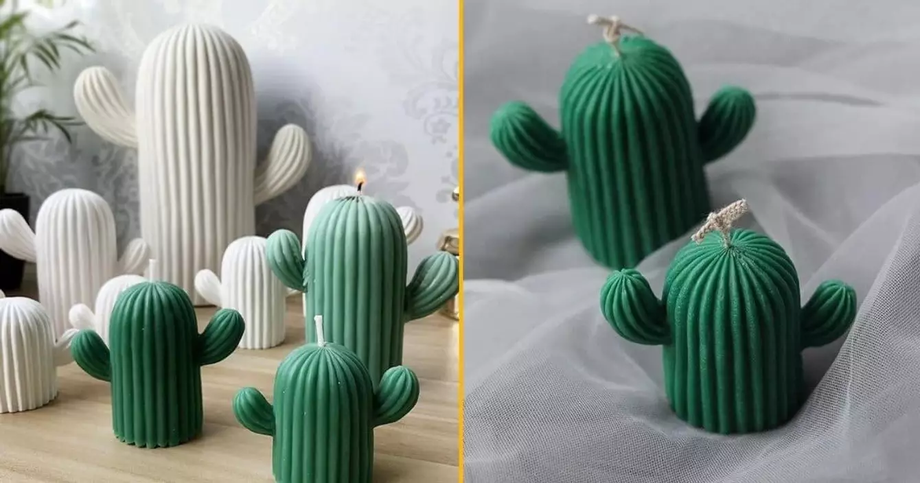 une-bougie-cactus