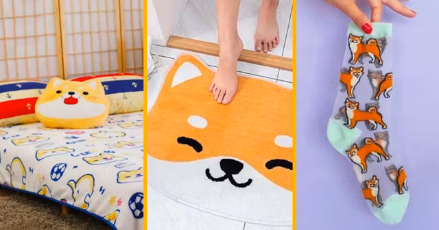 UNES_shopping_shiba-inu