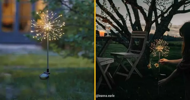 pissenlit-solaire-planter