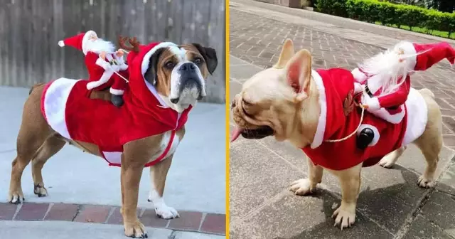 costume-renne-pere-noel-dos