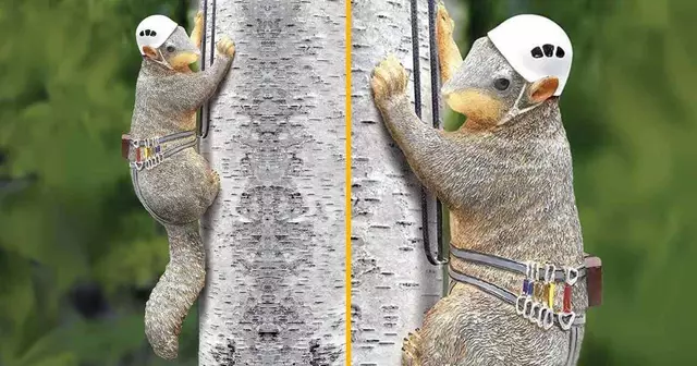 ecureuil-escalade-arbre