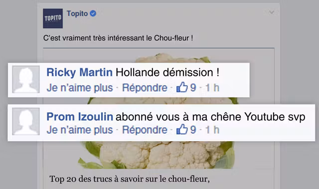 une_hollande-demission (2)