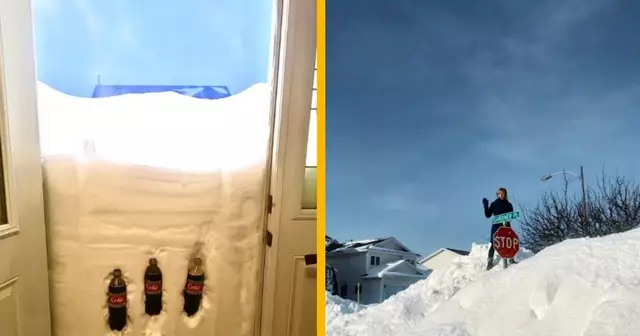 PicMonkey Image (10)