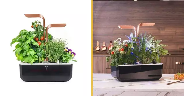 jardin-autonome-intelligent-veritable-smart