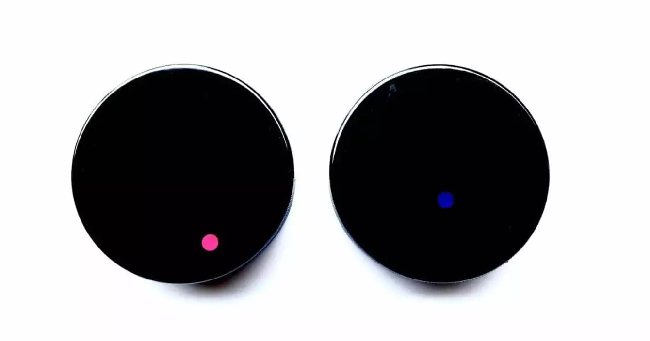 rondelle-hockey-gender-reveal