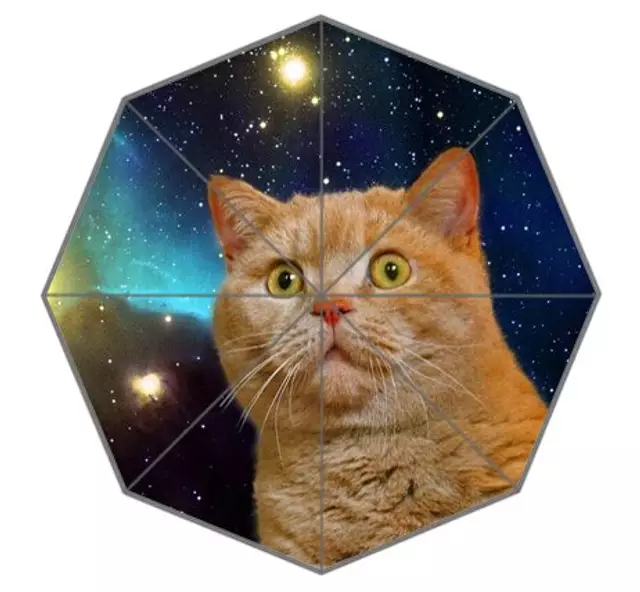 parapluie-chat