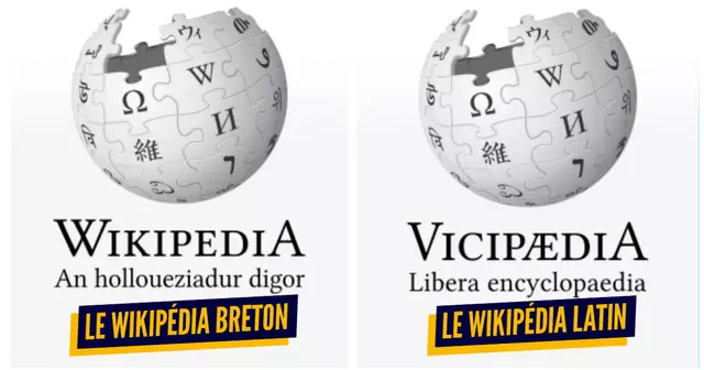 une wikipedia