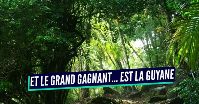 GUYANE (1)