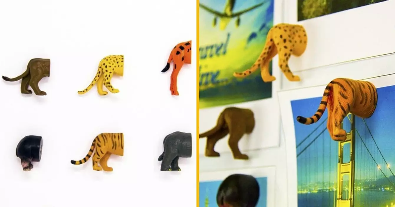 aimant-fesses-animaux