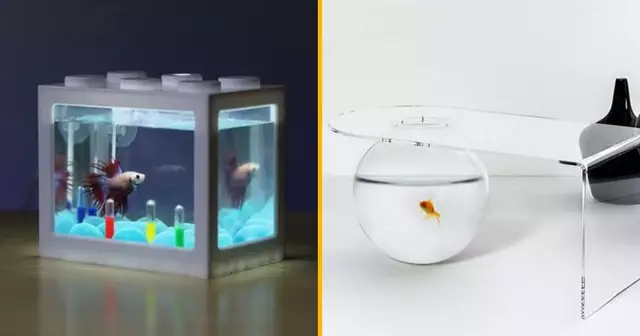 UNE_SHOPPING_AQUARIUM_INSOLITE