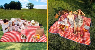 nappe-pique-nique-peau-ours-brigitte-bardot