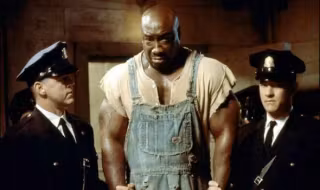 1342518_michael-clarke-duncan-zelena-mila