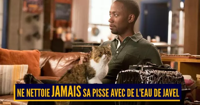 PISSE CHAT