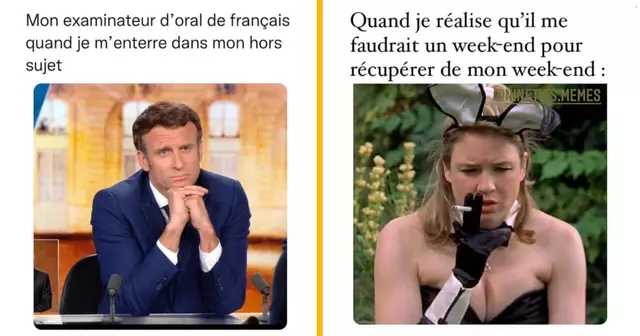 top memes semaine 11