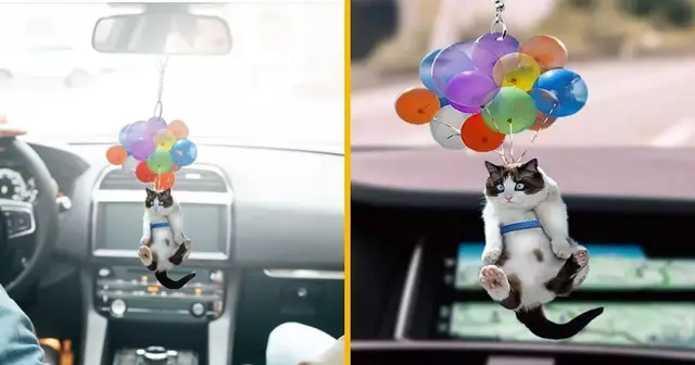 orenement-voiture-chat