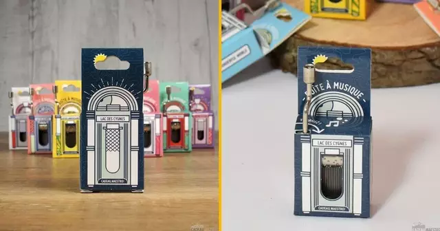 boite-musique-lac-cygnes