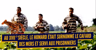 une_aliments_pauvres_luxe