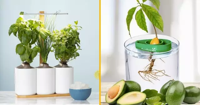 UNE_SHOPPING_JARDINAGE_INTERIEUR