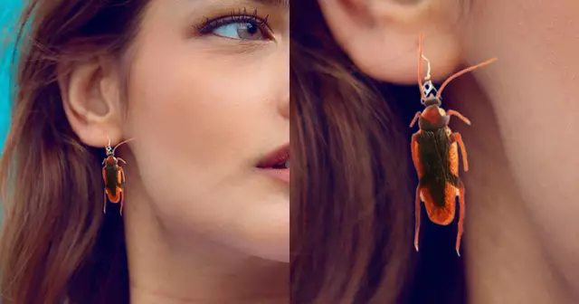 boucle-oreille-cafard