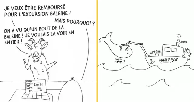 UNE_TOP_ILLU_ISLANDE