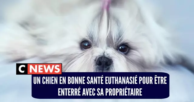 pire proprio animaux