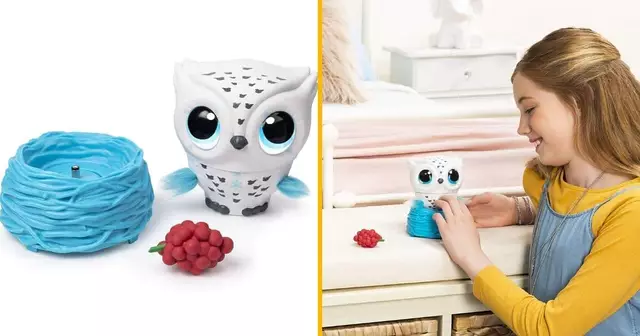 chouette-interactive-vole