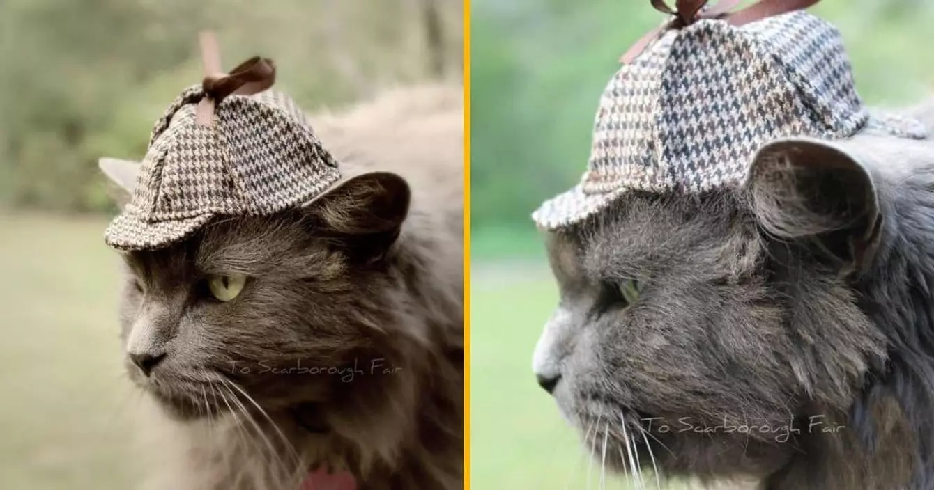 chapeau-sherlock-chat