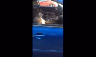 5cdad98f5c635cabacc29362f7100091364afd47de15be36a7dbc3f3518c8384_large