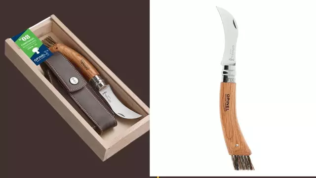 couteau-champignons-cueillette