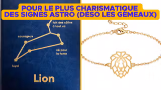 IDEE-CADEAU-LION