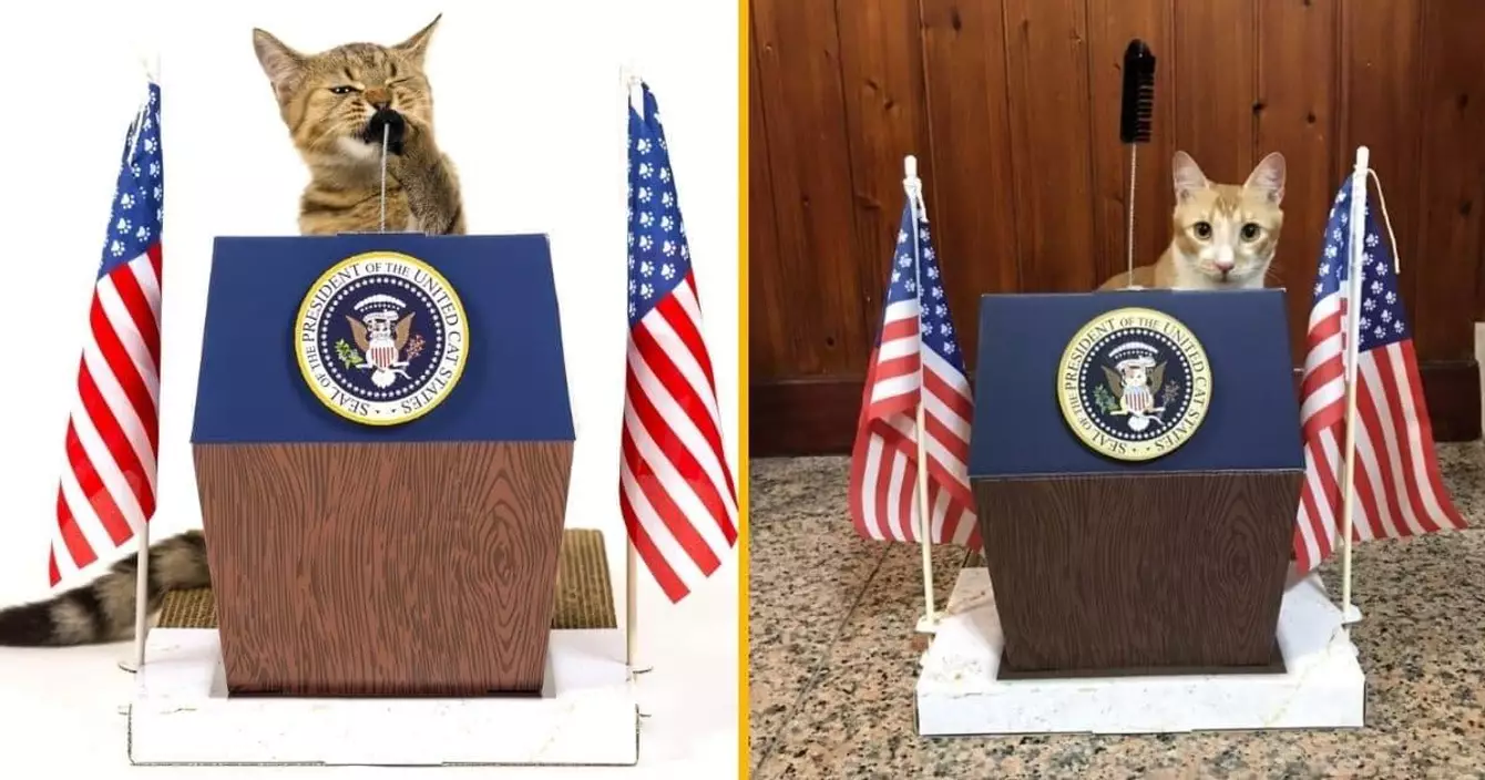 podium-chat-fasse-petit-discours-chef-frotte-micro