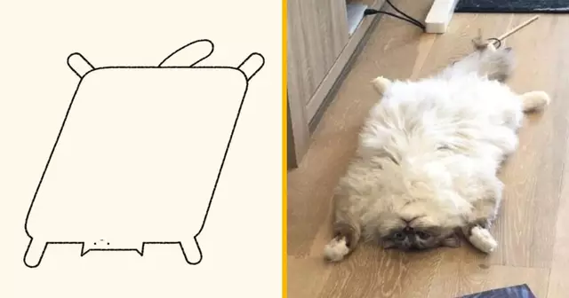 top dessins dailypurr