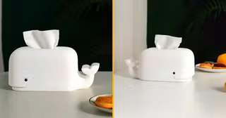 boite-mouchoirs-baleine