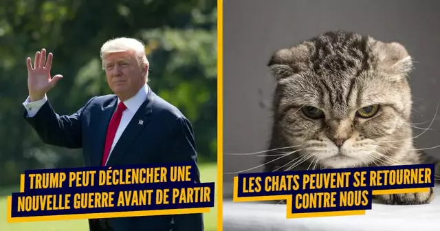 chattrump