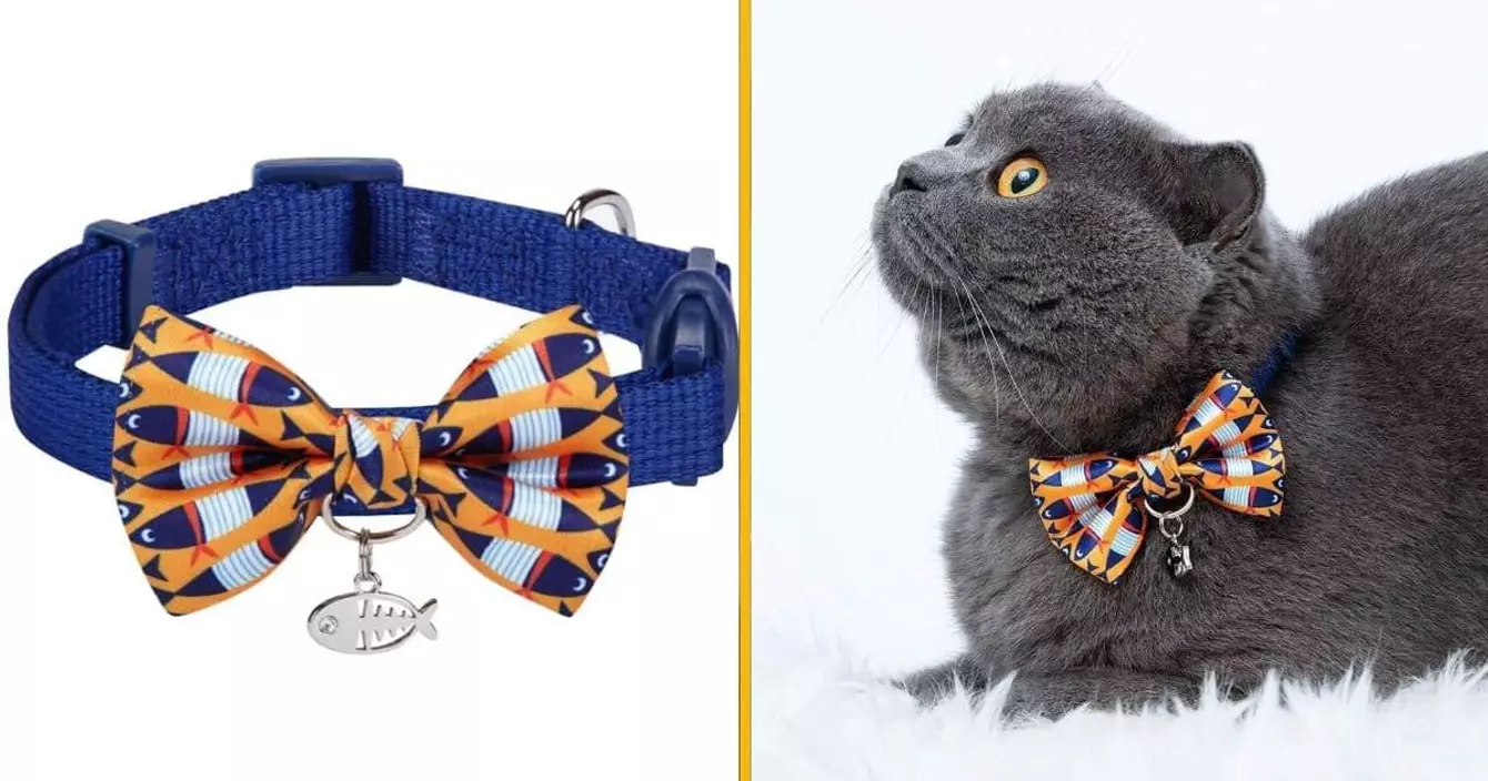 un-noeud-papillon-sushi-pour-chat