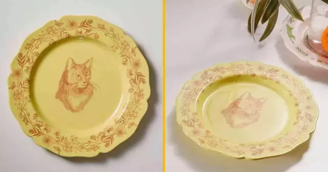 assiette-vintage-chat